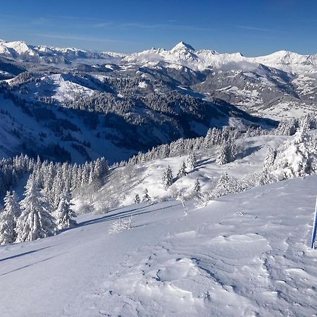 Demi Chalet Le Lachat نوتر دام دو بيلكومبيه المظهر الخارجي الصورة