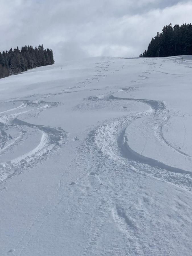 Demi Chalet Le Lachat نوتر دام دو بيلكومبيه المظهر الخارجي الصورة